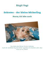 Sokrates - der kleine Mickerling