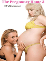 The Pregnancy Home 2