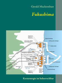 Fukushima: Kernenergie ist beherrschbar