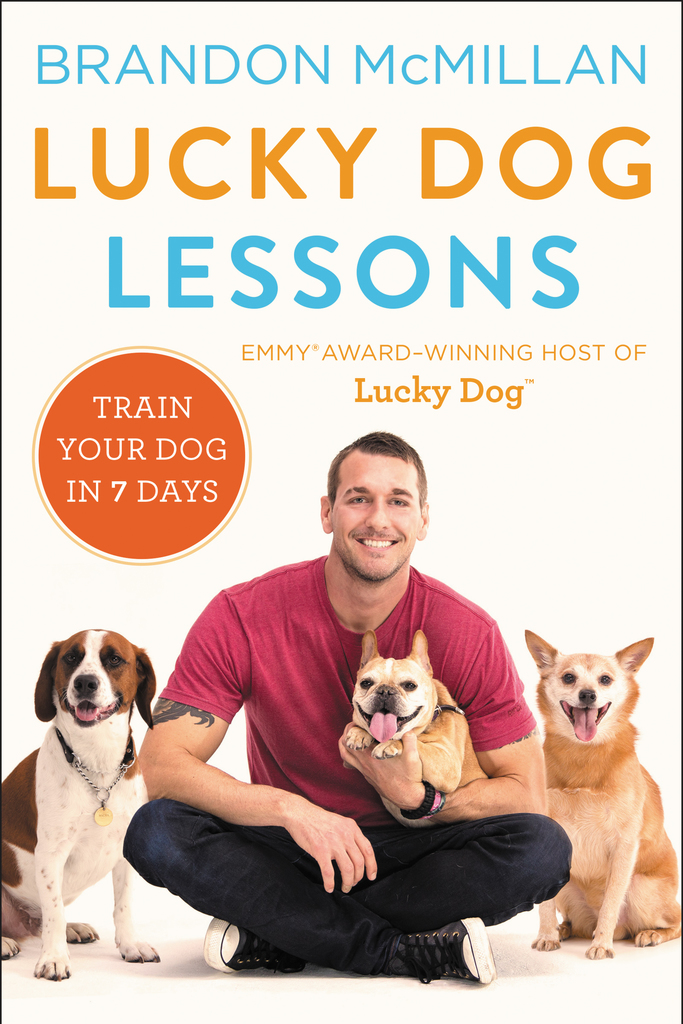Lucky Dog Lessons by Brandon McMillan - Ebook | Scribd
