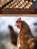 Producing Safe Eggs: Microbial Ecology of Salmonella