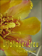 Wildflower Stew 3
