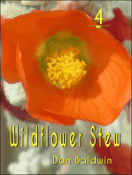 Wildflower 4
