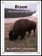 Bison: The American Buffalo