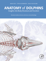 Anatomy of Dolphins: Insights into Body Structure and Function