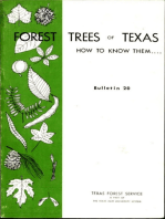 Forest Trees of Texas