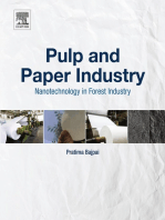 Pulp and Paper Industry: Nanotechnology in Forest Industry