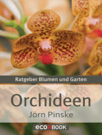Orchideen: Ratgeber Blumen und Garten