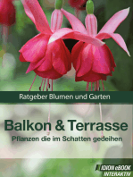 Balkon & Terasse - Pflanzen die im Schatten gedeihen: Ratgeber Blumen und Garten