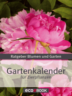 Gartenkalender - Zierpflanzen: Ratgeber Blumen und Garten