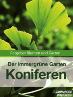 Koniferen - Der immergrüne Garten: Ratgeber Blumen und Garten