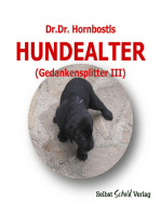 Dr. Dr. Hornbostls Hundealter (Gedankensplitter III)