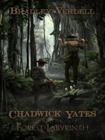 Chadwick Yates and the Forest Labyrinth: The Adventures of Chadwick Yates, #2