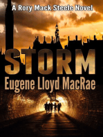 Storm: A Rory Mack Steele Novel, #2