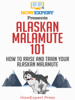 Alaskan Malamute 101