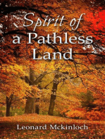 Spirit of a Pathless Land