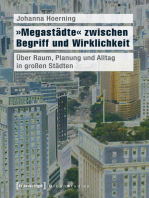 »Megastädte« zwischen Begriff und Wirklichkeit: Über Raum, Planung und Alltag in großen Städten