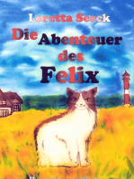 Die Abenteuer des Felix