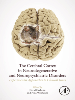 The Cerebral Cortex in Neurodegenerative and Neuropsychiatric Disorders: Experimental Approaches to Clinical Issues