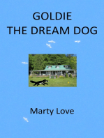Goldie the Dream Dog