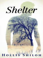 Shelter: shifters and partners, #7