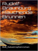 Rauchende Brunnen: BsB_Katastrophenroman