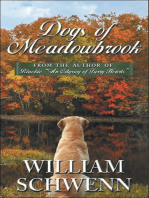 Dogs of Meadowbrook