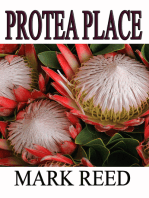 Protea Place