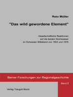 Das wild gewordene Element: Gesellschaftliche Reaktionen auf die beiden Hochwasser im Schweizer Mittelland von 1852 und 1876