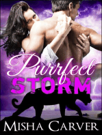 Purrfect Storm: Purrfect Mates, #2