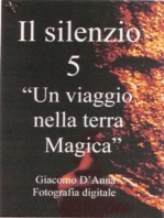 Il Silenzio cinque