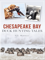 Chesapeake Bay Duck Hunting Tales