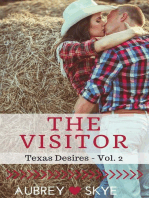 The Visitor (Texas Desires - Vol. 2): Texas Desires, #2