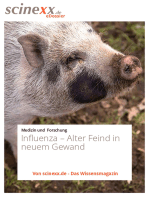 Influenza: Alter Feind in neuem Gewand