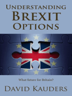 Understanding Brexit Options: What future for Britain?