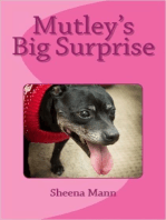 Mutley's Big Surprise