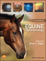 Equine Ophthalmology