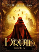 Druid: Tales of Silver Downs, #3