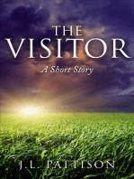 The Visitor