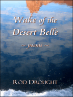 Wake of the Desert Belle