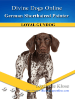 German Shorthaired Pointer