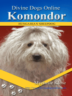 Komondor