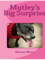 Mutley's Big Surprise