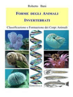 Forme degli Animali INVERTEBRATI: Classificazione e Formazione dei Corpi Animali