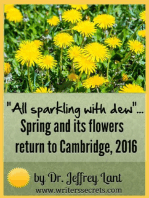 "All sparkling with dew"... Spring and its flowers return to Cambridge, 2016