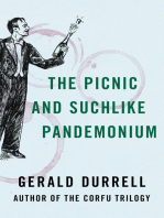 The Picnic and Suchlike Pandemonium
