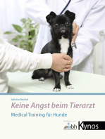 Keine Angst beim Tierarzt: Medical Training für Hunde