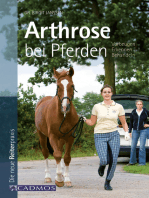 Arthrose bei Pferden: Vorbeugen - Erkennen - Behandeln