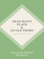 Dead Man's Plack and An Old Thorn