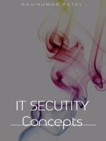 IT Security Concepts: 1, #1